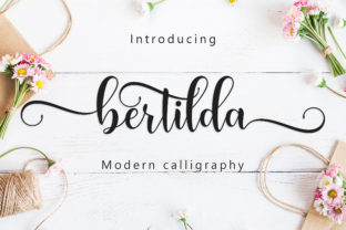 Bertilda Script: Elegant, Expressive, Timeless