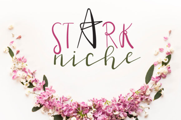 Stark Niche: A Playful Yet Polished Font for Distinctive Visual Identity