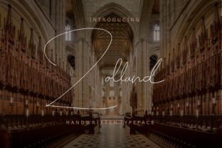 Zolland: The Strategic Choice for Distinctive Visual Communication